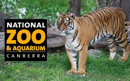 /uploaded_files/media/gallery/1750904676canberra zoo.webp